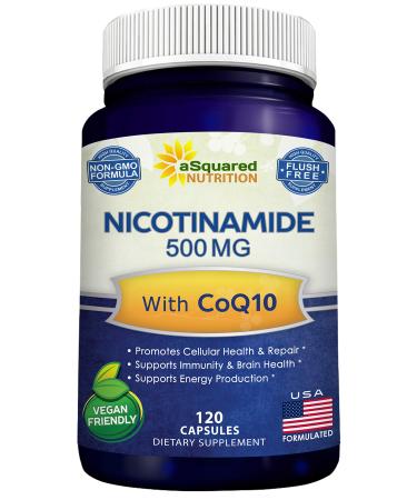 Nicotinamide with CoQ10 (120 Capsules) - Vitamin B3 500mg (Niacinamide Flush Free) - Coenzyme Q10 Powder - VIT B-3 & Coq 10 Supplement Pills to Support Energy NAD & Skin Cell Health