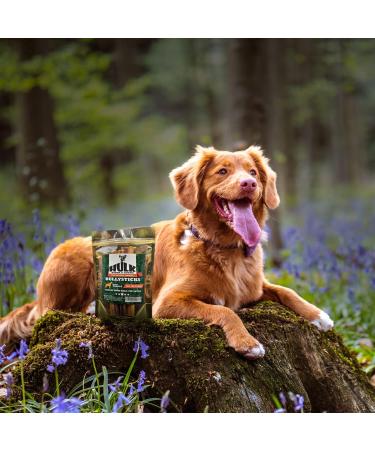 HULK Pet Products 6-inch Bully Sticks for Dogs (Pack of 5) - Natural Scent & Long Lasting Dog Dental Chew Made of Beef Pizzle Sourced from Grass-Fed Cattle with No Artificial Flavor 1 count (Pack of 5) - Buy Online on GoSupps.com
