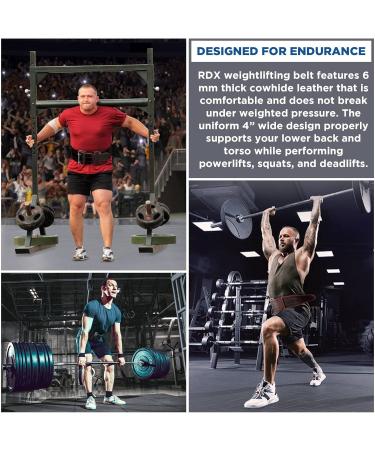 RDX 4 Weight Lifting Training Belt - IPL UPA Approved Adjustable 12 Holes Powerlifting & Bodybuilding - Padded Fitness Belt for Men & Women Blue X-Small - Buy Online on GoSupps.com