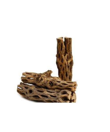 NApremium Natural Cholla Wood. Long Natural Cholla Wood for Aquarium Decoration, Hermit Crabs, Shrimp. 3x 5-6 Inch Cholla