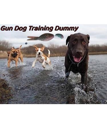 Naedien Gun Dog Training Dummy Dog Turkey Toy Dog Dummy Training Toy Gundog Training Dummies Gundog Dummy Dog Training Toy Dog Retrieve Dummy Water Toys for Dogs 21x12x6CM Small Turkey - Buy Online on GoSupps.com