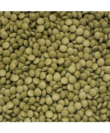 Tropical 3-Algae Tablets B 1st Pack (1 x 50 ML) - Buy Online on GoSupps.com