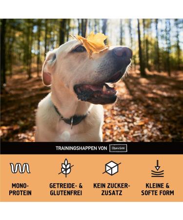 Chewies Duck Training Bats - Grain-Free Sugar-Free Monoprotein Dog Treats - Soft & Reusable Packaging - Made in Germany (6 x 175g) - Buy Online on GoSupps.com
