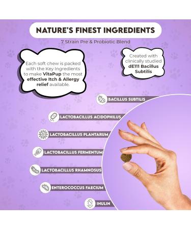 VitaPup Itch & Allergy Treats for Dogs - Seasonal Itching Relief - Stop Licking & Scratching - Immunity Support - Anti-Allergy Formula - Buy Online on GoSupps.com
