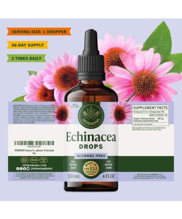 HERBAMAMA Echinacea Tincture - Vegan Immune Support with Echinacea Angustifolia Root Extract Drops - Non-GMO Alcohol & Sugar-Free Liquid Supplement 56-Day Supply 4 Fl Oz (Pack of 1) - Buy Online on GoSupps.com