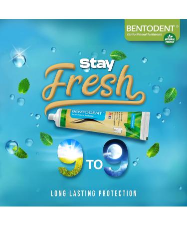 Bentodent Natural Toothpaste for Entire Family - Daily Oral Detox & Remineralization - Fluoride Free with Premium Mint Flavor - Buy Online on GoSupps.com