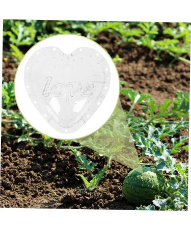 Generic Plant Fruit Tool Watermelon Shaping Watermelon Pumpkin Stereotypes - Buy Online on GoSupps.com