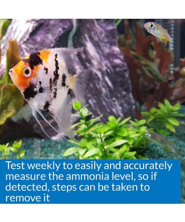 API Test Kit for Water Quality - Fast & Accurate Monitoring for Fish Health - Buy Online on GoSupps.com