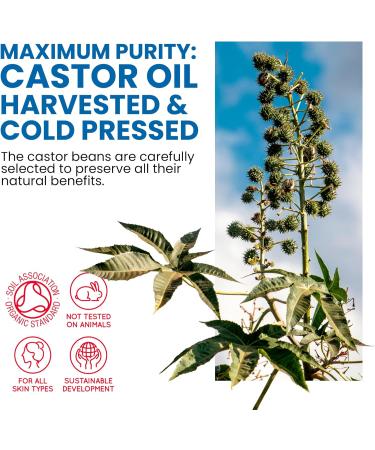 blue & navy Bretania - Organic Castor Oil 10L | Stimulates Hair Growth Beard Eyelashes Eyebrows | Anti-wrinkle Face Care | Strengthens Nails | Natural Makeup Remover Transparent 10 l (Pack of 1) - Buy Online on GoSupps.com