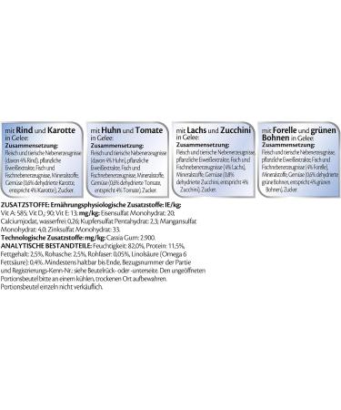 Felix Katznass Food in Jelly Mixed Variety with Vegetables - 6-Pack (6 x 12 x 100g) | Premium International Pet Food - Buy Online on GoSupps.com