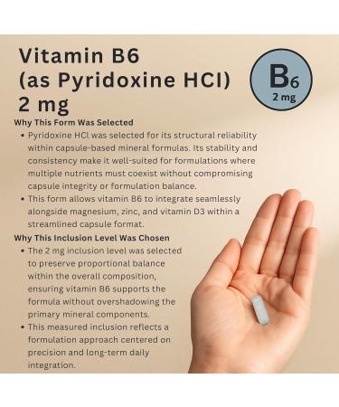 Magnesium Glycinate Complex 4-in-1 - Chelated Magnesium Bisglycinate (150 mg Elemental) with Zinc Picolinate Vitamin D3 & B6-120 Vegan Capsules Non-GMO - Men & Women - Buy Online on GoSupps.com