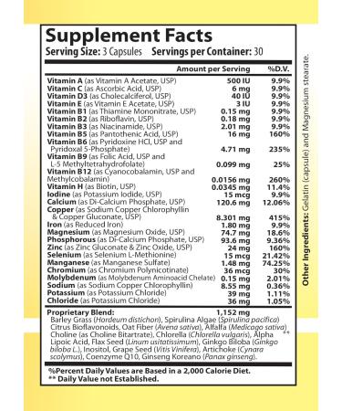 Vitamin Complex Multivitamins and Multiminerals - 12 Vitamins and 14 Minerals Vitamin A C D3 E B1 B2 B3 B5 B6 B9 B12 H and Minerals - 90 capsules 41 Active Ingredients Micronized for max absorption. - Buy Online on GoSupps.com