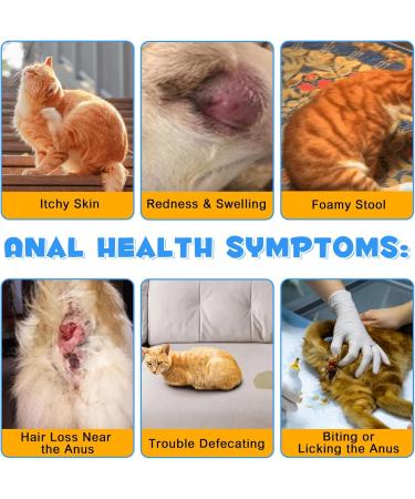 Anal Gland Support Powder for Cats with Pumpkin Probiotics and Digestive Enzymes for Bowel & Digestive Healthy Fresh Salmon Flavor 4.23oz - Buy Online on GoSupps.com