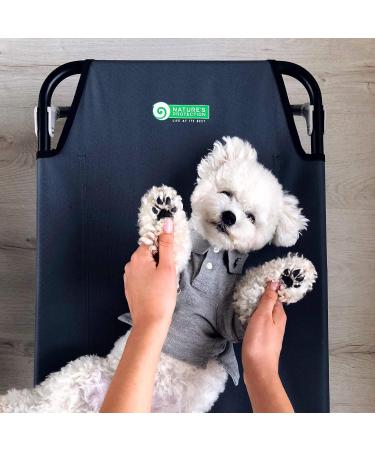 Nature's Protection Superior Care Hypoallergenic Dry Dog Food for Adult Dogs of All Breeds I Grain Free I Salmon I Food for Adult Dogs with Food Sensitivities 1.5 kg - Buy Online on GoSupps.com