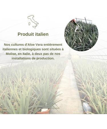 Benessence - Aloe Blueberries: Aloe Vera Juice with Blueberries - 1L - Buy Online on GoSupps.com