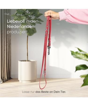 Freudiertier Spicy Red Leather Dog Leash - Adjustable Stylish & Robust | Amstelpark Collection 20mm Wide Made in Holland - Buy Online on GoSupps.com