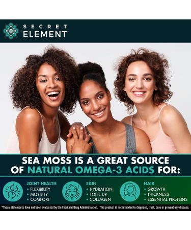 Sea Moss Bundle Wildcrafted Irish Sea Moss Capsules with Burdock Root Bladderwrack Muira Puama + Seamoss Black Seed Oil Ashwagandha & Ginger 240 Vegan Capsules - Buy Online on GoSupps.com