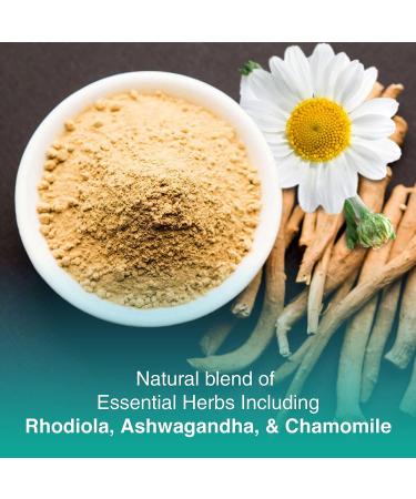 Anxiet-EZ | Natural Vegan Mood Support Supplement with Ashwagandha, Rhodiola & Lemon Balm | 60ct - Buy Online on GoSupps.com
