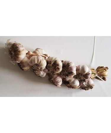 youdreamitaly Garlic Braid - Offer 3 Pieces - Buy Online on GoSupps.com