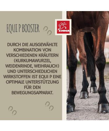 Devil's Claw Horse + Willow Bark Horse - First Aid Horse Joints - Devil's Claw + Equi P Booster - Glucosamine Locomotor System Support Horse - Tendons Ligaments 1L 30ml - Buy Online on GoSupps.com