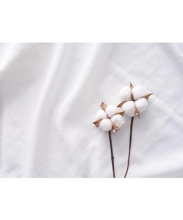 Buy Organ(y) C 100% Organic Cotton Pads - Eco-Friendly Biodegradable Packaging - 280 Pieces (4 Packs of 70) - Buy Online on GoSupps.com