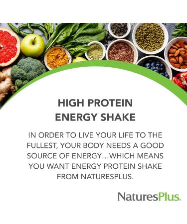NaturesPlus Energy Shake - 1.7 lb - 16 Grams of Plant-Based Protein Per Serving - Contains Digestion-Supporting Enzymes - No Added Sugar - Non-GMO Vegetarian Gluten Free - 28 Servings Unflavored 1.7 Pound - Buy Online on GoSupps.com