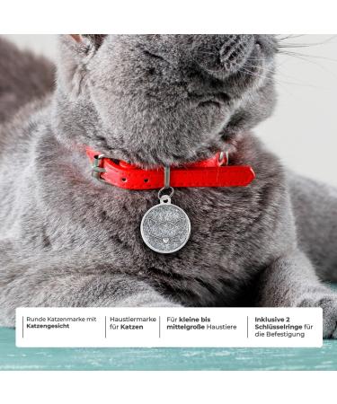 Buy Ibera Gifts: Personalized Cat Collar Engraved for Medium to Large Cats - Silver Glitter Necklace - Buy Online on GoSupps.com