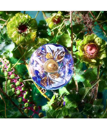 Lolita Lempicka Le Parfum Eau De Parfum Spray for Women - Notes of Licorice Violet & Anise - Ideal for Daily Wear and Special Events 3.4 Fl Oz (Pack of 1) - Buy Online on GoSupps.com