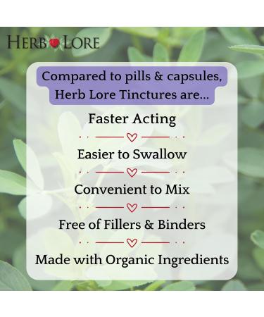 Herb Lore Organic Alfalfa Leaf Tincture Alcohol Free Liquid Herbal Support Supplement Drops for Pregnancy Lactation & Overall Wellness (2 fl oz) 2 Fl Oz (Pack of 1) - Buy Online on GoSupps.com