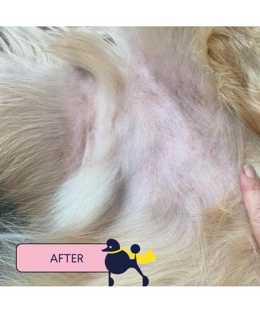 Finn Skin Hero - Revitalizing Natural Dog Skin Balm | Soothes Hot Spots Itching & Irritation | 1.75 oz - International Shipping Available - Buy Online on GoSupps.com