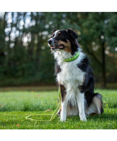 Buy Neon Yellow Rubberized Leash - 100 cm (1 m) | No Hand Loop | Durable & Stylish - International Shipping - Buy Online on GoSupps.com