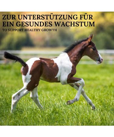 Stiefel calcium-plus 1 kg - Buy Online on GoSupps.com