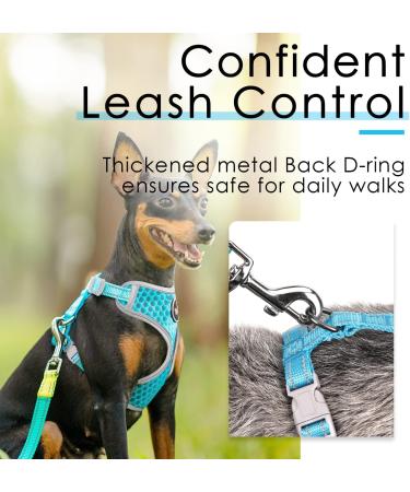 Thinkpet No-Pull Dog Harness & Leash Set - Adjustable Breathable Reflective Safety Harness for Small Medium & Large Dogs (Blue) - Buy Online on GoSupps.com