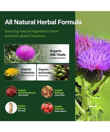 Silymarin Milk Thistle Liver Detox Capsules for Fatty Liver Alcachofa y Cardo Mariano con Silimarina para el Higado Graso Liver Cleanse Detox & Repair Formula w/Artichoke Extract. 120Count Milk Thistle 120 Count (Pack of 1) - Buy Online on GoSupps.com