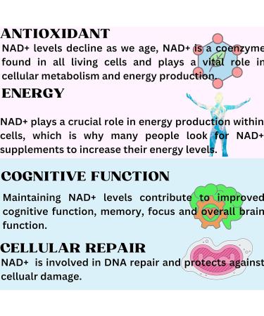 Nikoni Liposomal NAD+ 2000 mg with TMG and Pterostilbene, Supports Healthy Aging-60 Softgels 60 Softgelss - Buy Online on GoSupps.com
