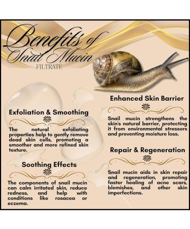 Snail Mucin Facial Sheet Mask - Korean Skincare | Hydrating Anti-Aging Detox Mask for Glowing Skin & After Sun Care - Buy Online on GoSupps.com