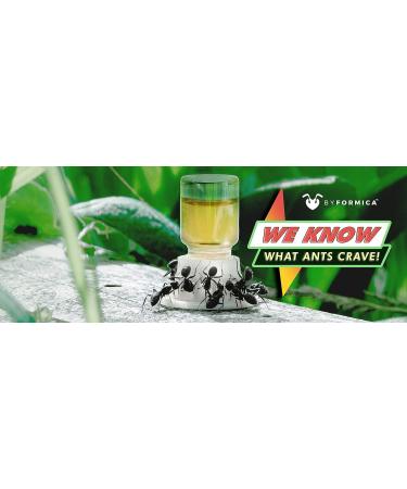 byFormica Sunburst Ant Nectar - Original Formula 500 mL Bottle - Buy Online on GoSupps.com
