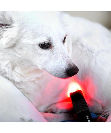 playhair Red Led Light Therapy Device -Cat Dog Horse. Pain Relief Hip Joint Mobility.and Inflammation Relief Advanced Pain Relief - Buy Online on GoSupps.com