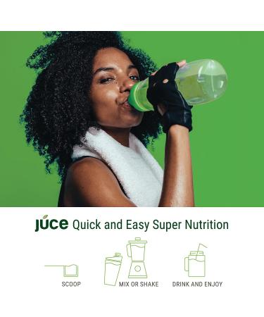 Terra Kai Organics JUCE Green Superfood Powder - Organic Fruits/Veggies Supplement with 77 Superfoods, Prebiotic & Probiotic Blend - Harvest Apple Flavor - 20 Servings (230g) - Buy Online on GoSupps.com