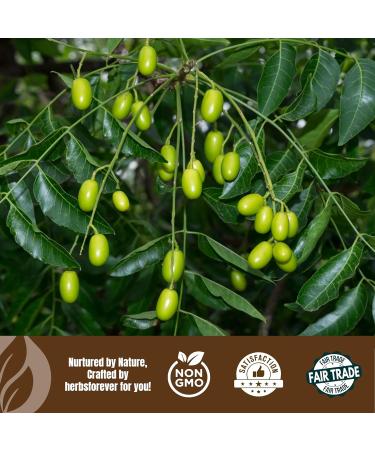 HerbsForever Sesame Seed Oil -100% Pure Cold-Pressed Virgin| Hair Body Massage Moisturizer & Cooking Oil |Non-GMO Premium Grade Unrefined Untreated & Hexane Free Natural 16 fl oz 473 ml - Buy Online on GoSupps.com