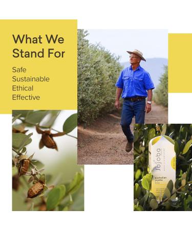 Buy Jojoba The Company Wadi-Wadi Vitamins A D & E - Australian Hypoallergenic Oil - Cruelty-free 30ml - Ideal for All Skin Types - International Shipping Available - Buy Online on GoSupps.com