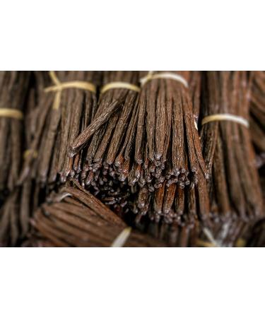 Grade A Madagascar Vanilla Beans â€“ 10 Whole Pods for Extract & Baking - Buy Online on GoSupps.com