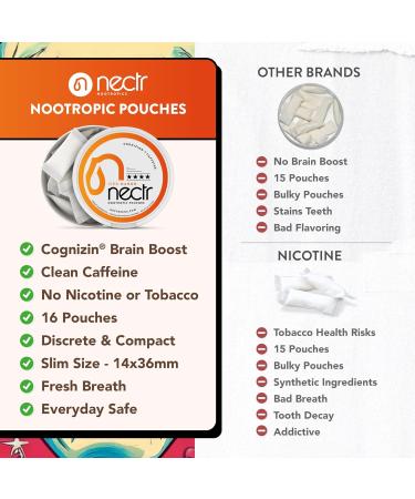 Nectr Energy Nootropic Pouches Atomic Apple Flavored Caffeine Pouches with Cognizin Citicoline. Sugar-Free Brain Treats. Smooth Sustained Focus & Energy Supplement - 1 Puck of 16pcs Atomic Apple 1 Count (Pack of 1) - Buy Online on GoSupps.com