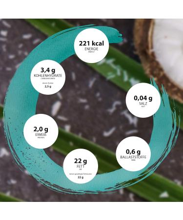 ONE NATURE Organic Coconut Milk - Pack of 6 (6 x 400g) | Premium Vegan Dairy Alternative for Cooking & Baking - Buy Online on GoSupps.com