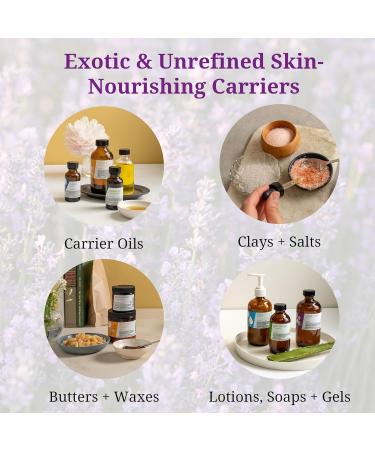 Aromatics International Cranberry Seed Oil 4fl-oz | Cold-Pressed Natural Oil for Skin Care Moisturizing and Hydration 4 Fl Oz (Pack of 1) - Buy Online on GoSupps.com