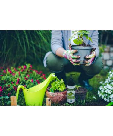 Velona Neem Oil USDA Organic - 1 Gallon Pure Carrier Oil for Hair & Skin Care | Virgin & Cold Pressed - Buy Online on GoSupps.com
