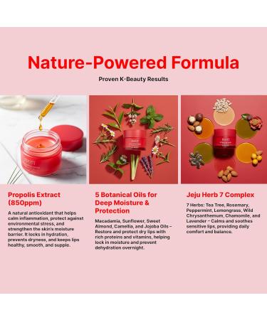 Korean Skincare Propolis Honey Lip Sleeping Mask Nourishing Overnight Lip Treatment for Dry & Chapped Lips K-Beauty Hydrating Lip Balm with Propolis Extract Repairs & Softens Lips (20g) - Buy Online on GoSupps.com