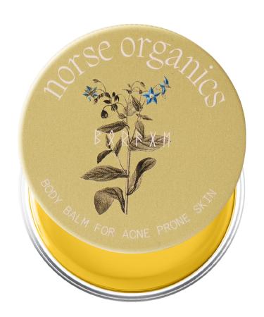 Norse Organics | Body Balm For Acne Prone Skin | Arctic Herbs & Beeswax for Back Chest Shoulders | Thistle Rosehip Marigold Sea Buckthorn | Natural Formula for All Skin Types | 1.7 oz