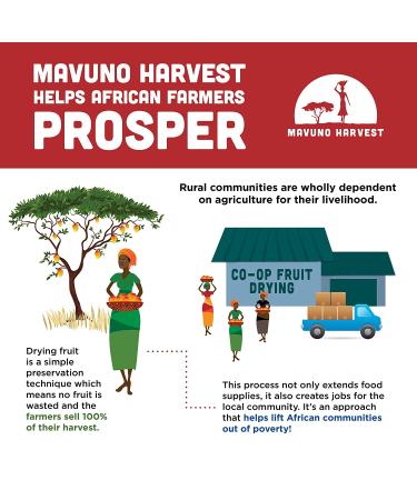 Mavuno Harvest Organic Roasted Cashews with Sea Salt | 16 oz Pack | Vegan Non GMO Healthy Snack for Kids & Adults | Office-Friendly | Whole Cashew Nuts - Buy Online on GoSupps.com