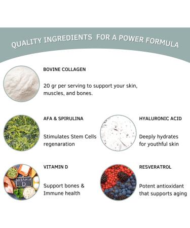 Bioxtron Collagen Peptides Powder - Unflavored Type I Bovine with Stem Cell Renewal for Hair Nail Skin Gut Bone & Joint Health Support - Hyaluronic Acid Protein Biotin - 600g (30 Servings) 1.31 Pound (Pack of 1) - Buy Online on GoSupps.com